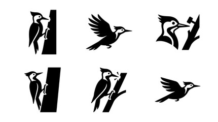 Naklejka premium collection of woodpecker, 6 filled black minimal icon vector set , white background , PNG and SVG isolate