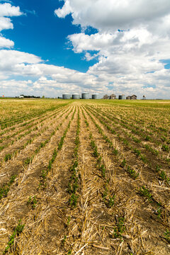 Canada, Saskatchewan, Regina.  A line of steel storage bins and equipment sheds along the horizon in the great plains of the Canadian prairies.