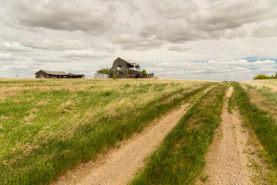 Canada, Saskatchewan, Biggar.  Delapidated farm buildings in the great Canadian prairie.