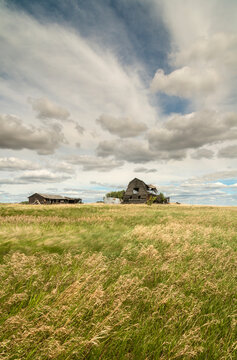 Canada, Saskatchewan, Biggar.  Delapidated farm buildings in the great Canadian prairie.
