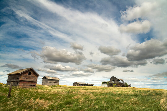 Canada, Saskatchewan, Biggar.  Delapidated farm buildings in the great Canadian prairie.