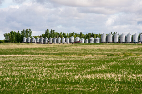 Canada, Saskatchewan, North Battleford.  A line of steel storage bins along the crest of a hill.  