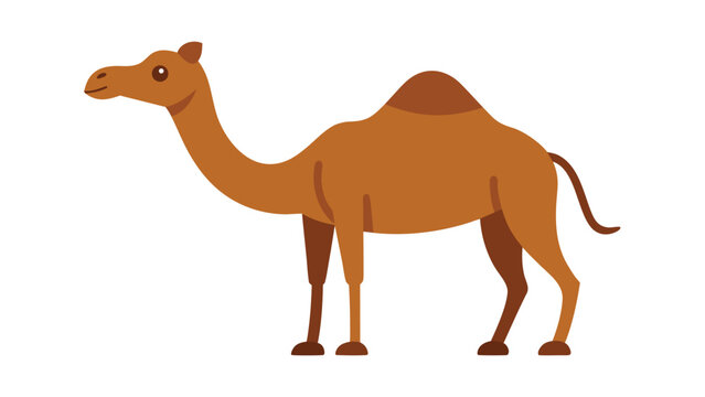 A side profile illustration of a brown dromedary camel with a single hump and dark brown accents standing on a white background.