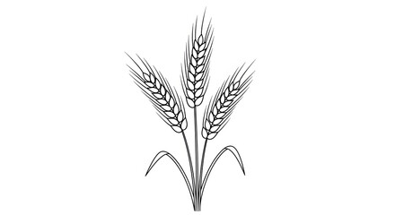 Fototapeta premium A simple black and white drawing of three ears of wheat on a plain white background without any other elements.