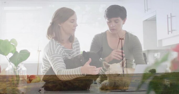 Vertical video: Facing dogs, two women discussing dogs and gesturing in kitchen, apron, overlay