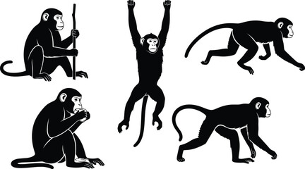 Collection of black monkey silhouettes in various poses including hanging from branch sitting with stick and walking on all fours © Sabbir's World