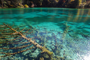 The breathtaking scenery of the crystal-clear turquoise lake at Jiuzhaigou National Park in Sichuan Province, China