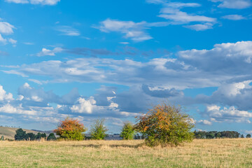 Fototapeta premium Soft Afternoon Light Over Rural Field