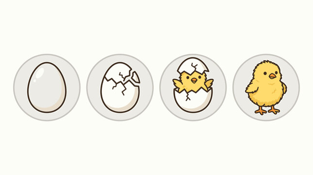 A set of four icons depicting a chick hatching from an egg in sequence