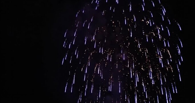 Bright purple fireworks explode against dark night sky celebration