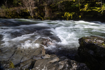 Rogue River above Union Creek, Oregon rushes over jagged stones. Mossy banks glow in golden sunlight. Nature's force moves through rocky terrain.