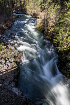 Rogue River above Union Creek, Oregon rushes over jagged stones. Mossy banks glow in golden sunlight. Nature's force moves through rocky terrain.