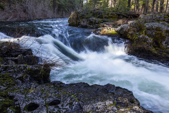Rogue River above Union Creek, Oregon rushes over jagged stones. Mossy banks glow in golden sunlight. Nature's force moves through rocky terrain.