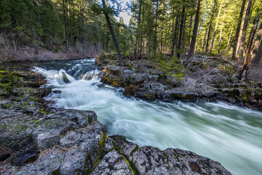 Rogue River above Union Creek, Oregon rushes over jagged stones. Mossy banks glow in golden sunlight. Nature's force moves through rocky terrain.
