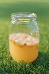 Homemade Yeast Water for Baking, Thai Longan Recipe