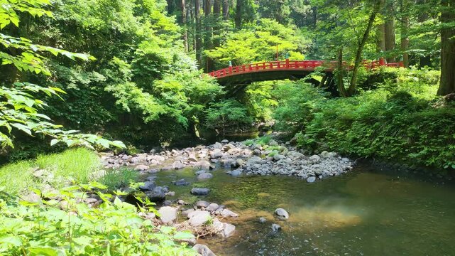 羽黒山・祓川の赤い橋と鮮やかな新緑が美しい初夏の風景