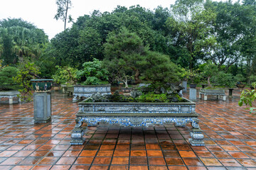 Fototapeta premium Bonsai trees are displayed in Thien Mu Pagoda, Hue City, Vietnam. These miniature trees are grown in containers and are carefully cultivated and shaped.