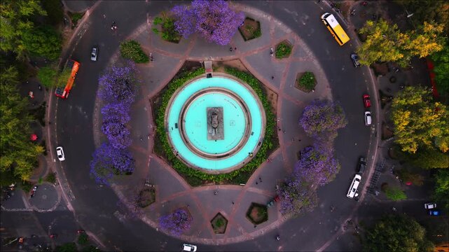 Jacarandas en primavera, glorieta de cibeles, Ciudad de M&eacute;xico