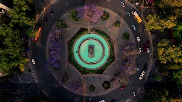 Ciudad de Mexico, glorieta de cibeles con jacarandas, flores moradas en primavera