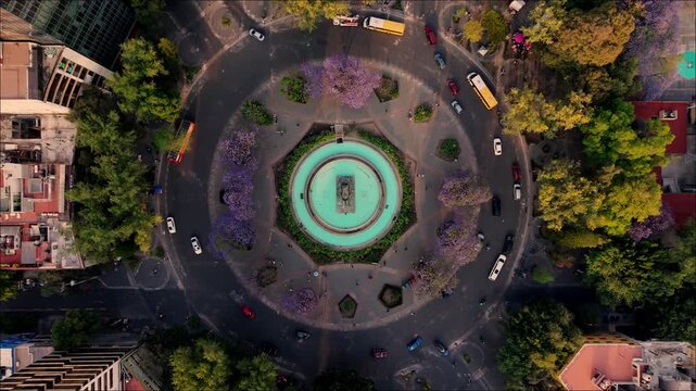 Ciudad de Mexico, glorieta de cibeles con jacarandas, flores moradas en primavera