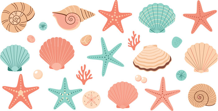 Seashells and starfish collection in pastel colors with ocean shells, sea stars and marine elements illustration set