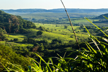 Stunning cliff formation in a lush green valley in Sao Paulo state. A landmark representing the region unique geology, farm pastures and the beauty of the Atlantic Forest biome © AlfRibeiro