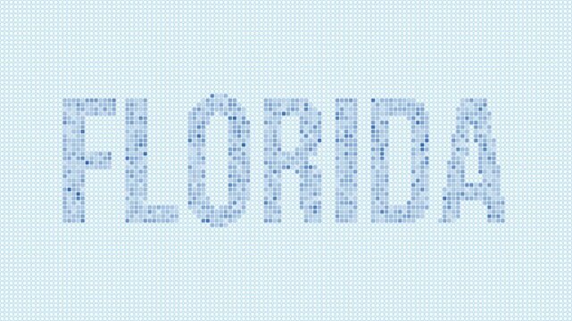 Florida, United States dotted map animation. Digital style shape of the state. Florida, United States shape and title dots appear with bulb flickering effect. Intro, outro, logo, title video.