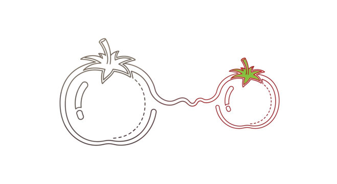 Connected Tomatoes Icon Outline, Minimalist Food Concept, Healthy Eating