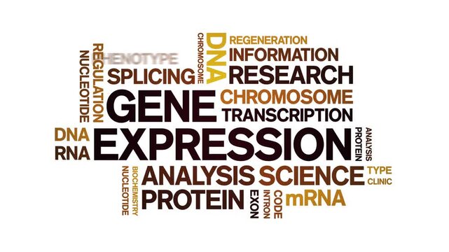 Gene Expression animated word cloud-text design animation tag kinetic typography seamless loop.
