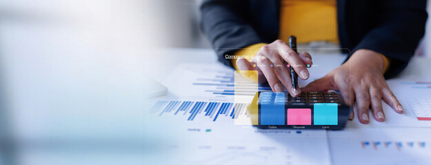 Business woman analysis summary graph reports of business operating expenses and work data about...