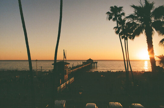 Sunset over Manhattan Beach Pier in Manhattan Beach, California with palm tree silhouettes and golden light reflecting on the Pacific Ocean. Classic Southern California coastal scene with beach crowd 