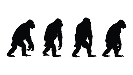 Evolutionary transformation of human ancestors: a journey through time from primate to upright walking © SILHUETTECHEMBER