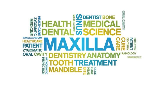 Maxilla animated word cloud-text design animation tag kinetic typography seamless loop.