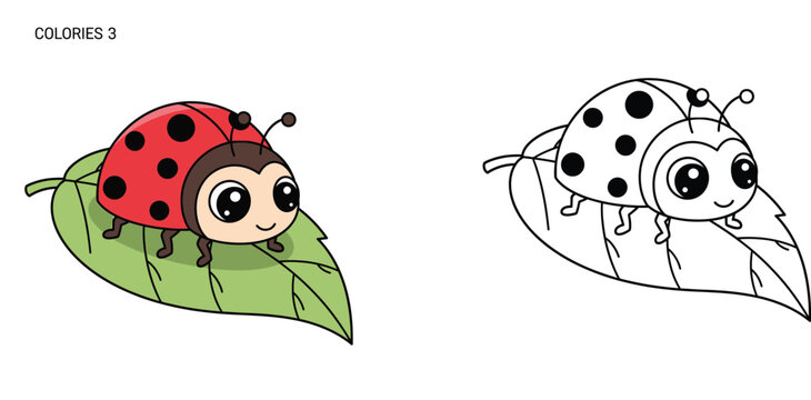 Cute cartoon ladybug sitting on a green leaf. Color vector illustration and black and white line art coloring page outline for kids.