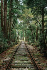 Obraz premium Abandoned Railroad Tracks Disappear into a Lush Green Forest with Fallen Autumn Leaves Scattered on the Gravel and Rails Under Soft Natural Sunlight