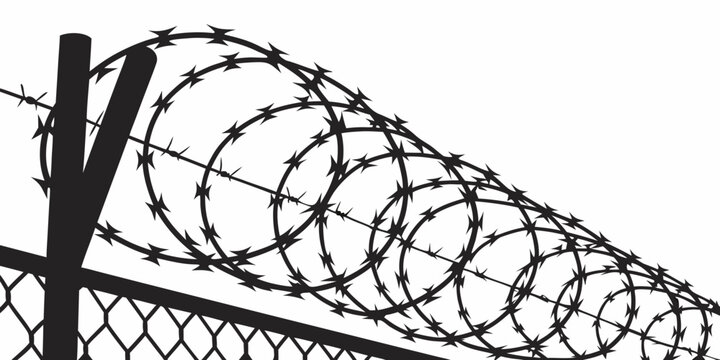 a roll of barbed wire on a fence Vector