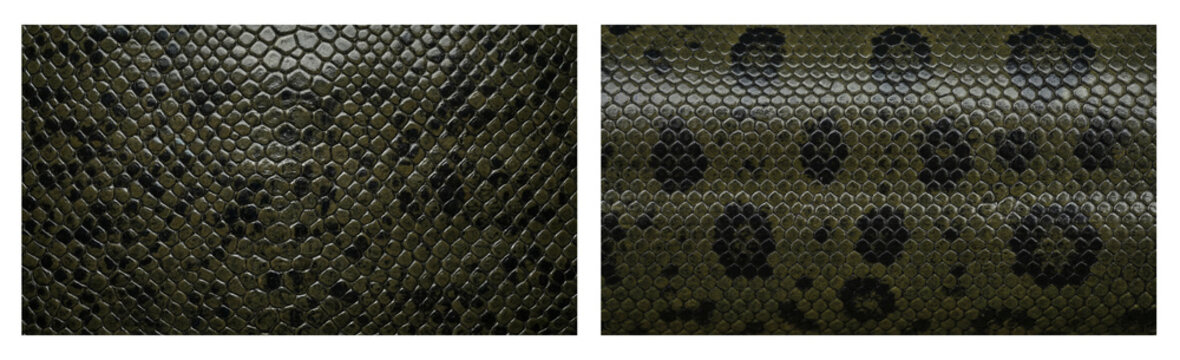 Set of  South American anaconda snake skin texture close-up in dark olive green and black spotted color palette, macro top-down camera view