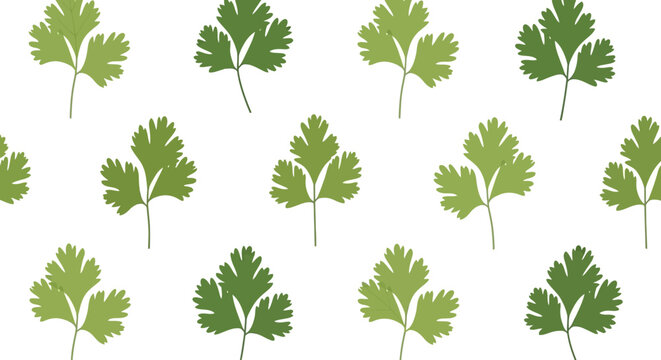 Set of parsley leaves vector