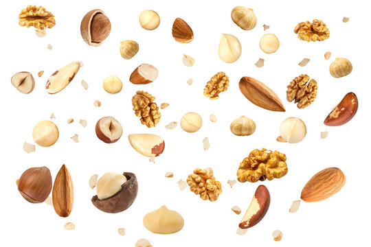 Assorted Mixed Nuts Collection Isolated on White Background