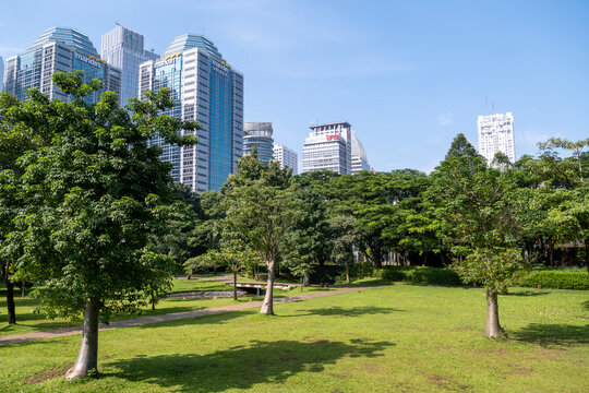 Jakarta, Indonesia &ndash; March 11, 2026: Skyscrapers rise behind the trees of Taman Hutan GBK, showing the coexistence of urban green space and modern development in central Jakarta.