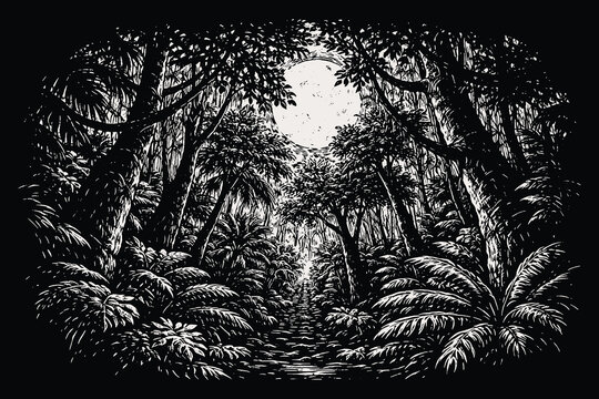 Dense tropical jungle forest under bright moon in vintage woodcut style, monochrome vector illustration of rainforest foliage and trees in engraving art.