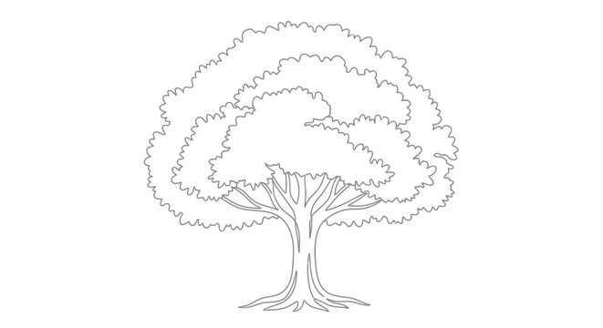 Outline illustration of a large tree with detailed branches and roots.