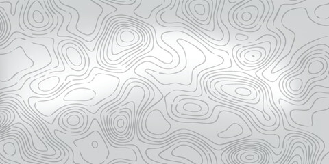 Abstract relief map texture, delicate white topographic curves across pale gray field, modern minimal vector composition. © MOH