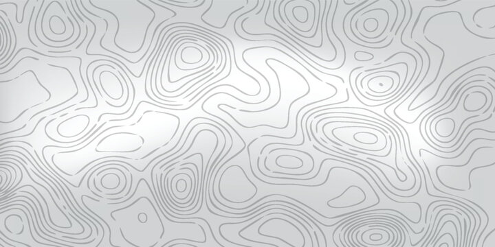 Abstract relief map texture, delicate white topographic curves across pale gray field, modern minimal vector composition.