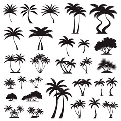 set of palm trees
