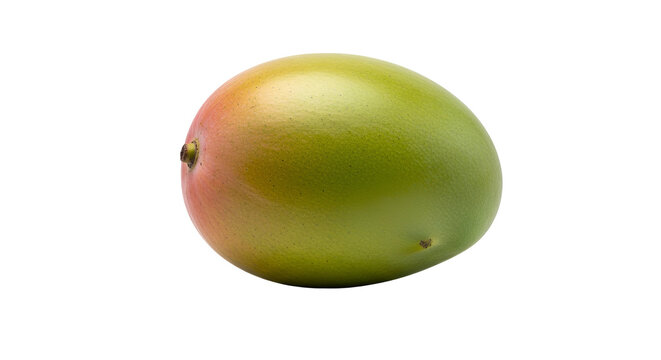 Green and Red Mango Fruit.