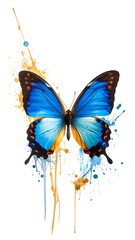 A blue butterfly with paint splatters on white