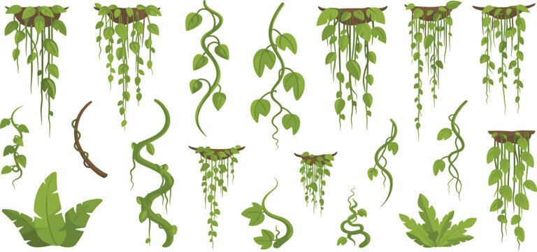 Hanging Vine and Creeper Plant Vector Set Featuring Tropical Climbing Plants, Leaves, and Jungle Foliage for Nature Illustration, Garden Design, and Botanical Graphics