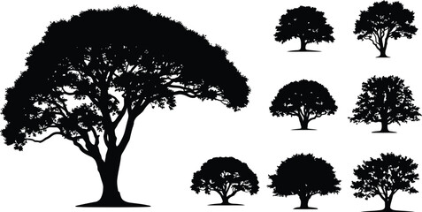 Black silhouettes of trees on white background 3 © Arifa