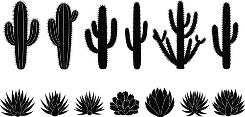 Black silhouettes of various desert cacti and succulents on a white background cactus plant © MDZAKARIAHAYAT